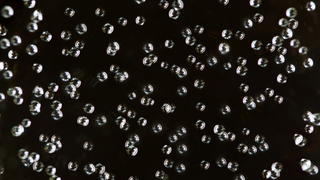 Does Seltzer Hydrate You Or Leave You High And Dry?